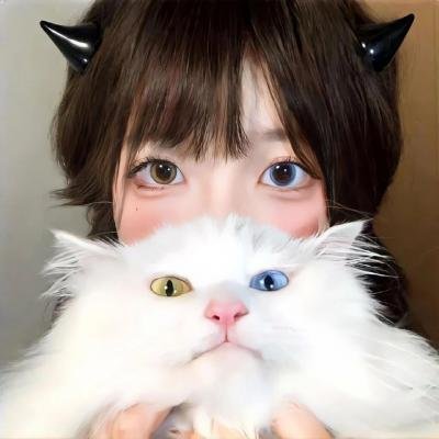 大黄蜂